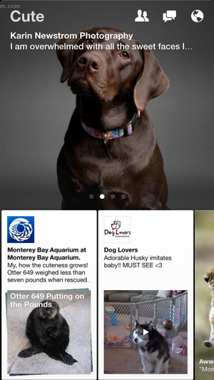 IMG_5635_resize IMG_5635_resize