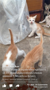 IMG_5640_resize IMG_5640_resize