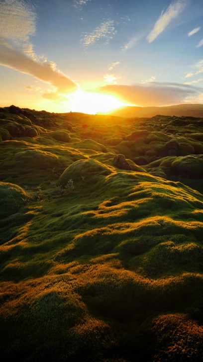 ดาวน์โหลด (15)