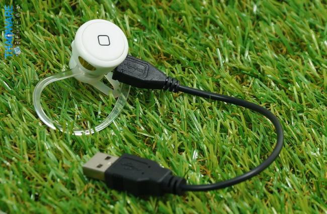 DSC00178_resize DSC00178_resize