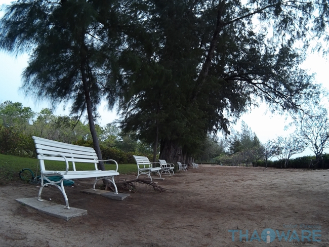 sample Pic-12 sample Pic-12