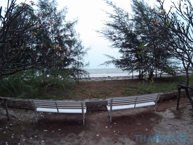 sample Pic-14 sample Pic-14