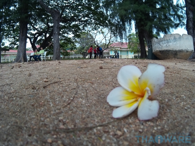 sample Pic-13 sample Pic-13