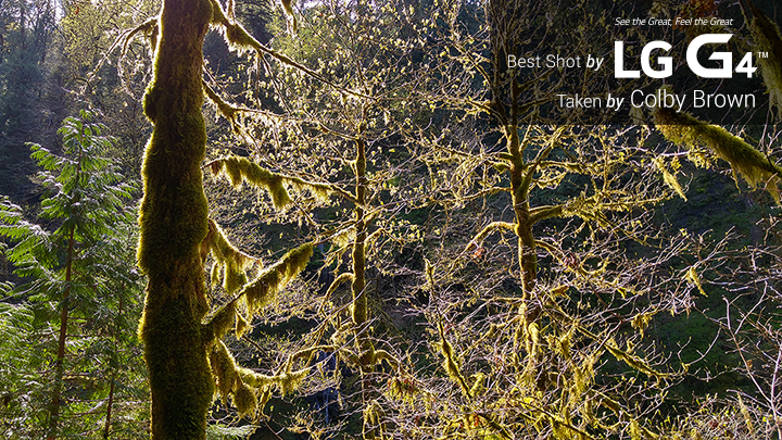 20150104_102929_HDR 20150104_102929_HDR