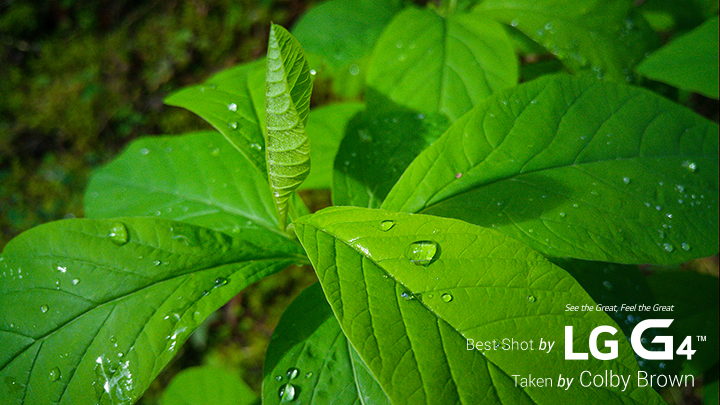 20150404_140319 20150404_140319