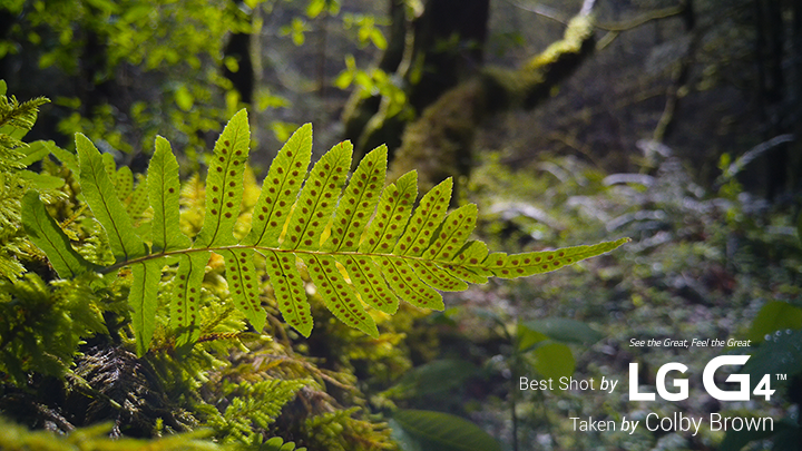 20150404_142731-Edit 20150404_142731-Edit