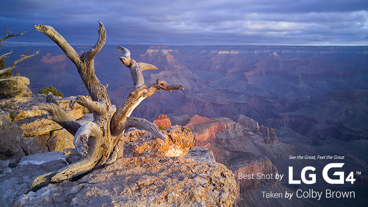 20150408_092025-Edit 20150408_092025-Edit