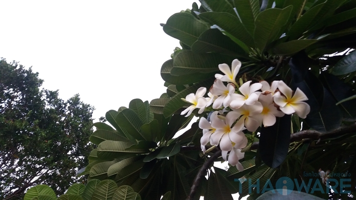 20150818_183852 20150818_183852