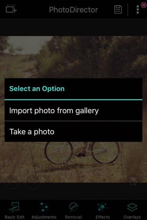 12348268_10207056747049108_321620498_n