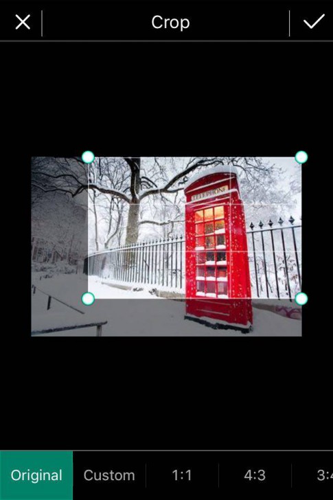 12336437_10207056754729300_1790384373_n