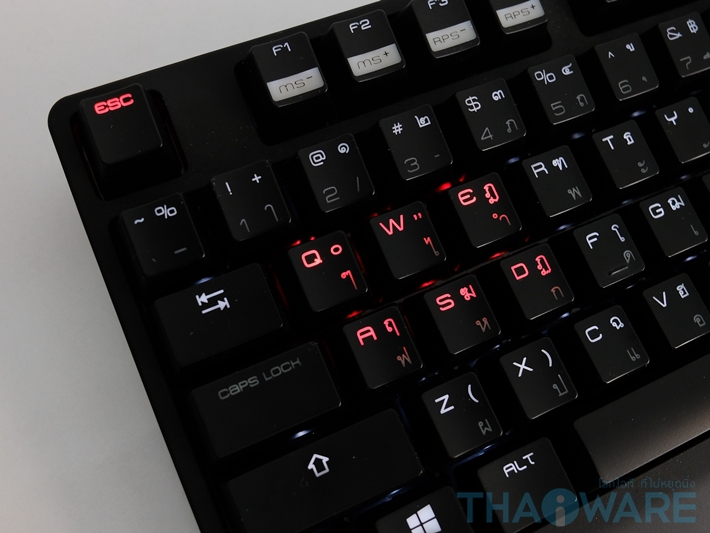 022-20160328-165525 022-20160328-165525