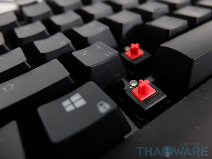 019-20160328-165504 019-20160328-165504