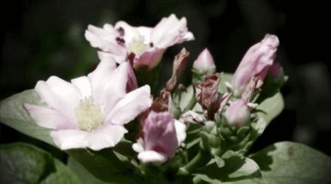 CreativeVDO_Memory CreativeVDO_Memory