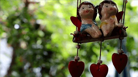 โฟกัสเข้าเร็วปกติ โฟกัสเข้าเร็วปกติ