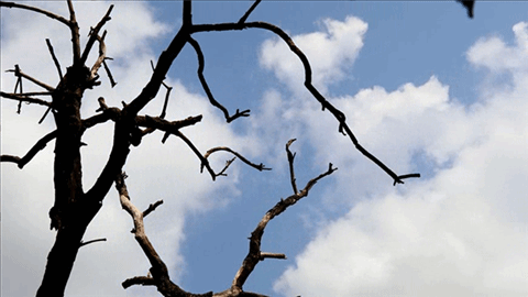 timelapse_01 timelapse_01