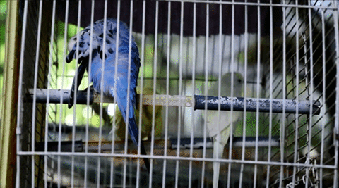 timelapse_02 timelapse_02