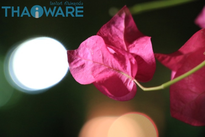 IMG_1184_resize673_ใส่โลโก้ IMG_1184_resize673_ใส่โลโก้