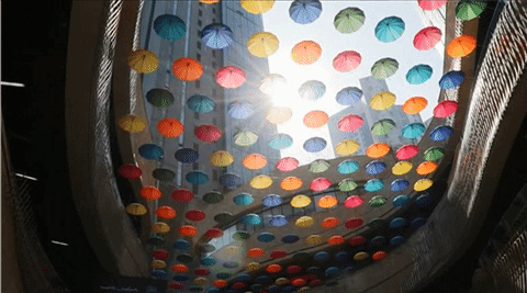 Canon EOS 80D Movie HDR ON_01 Canon EOS 80D Movie HDR ON_01