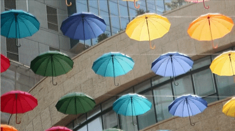 Canon EOS 80D Movie HDR ON_02 Canon EOS 80D Movie HDR ON_02