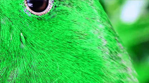 samsung_002 samsung_002