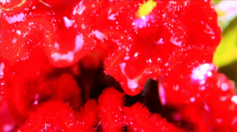 samsung_003 samsung_003