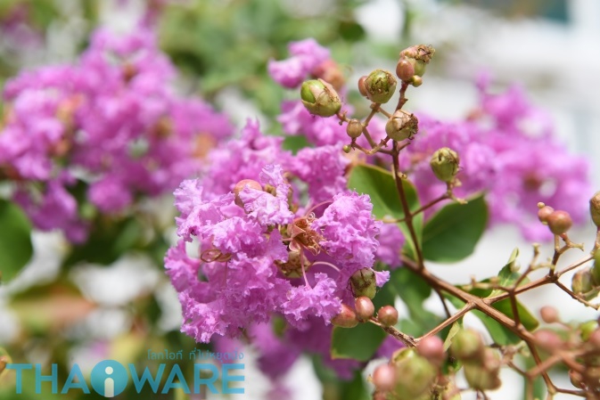 DSC_2232_637_logo DSC_2232_637_logo