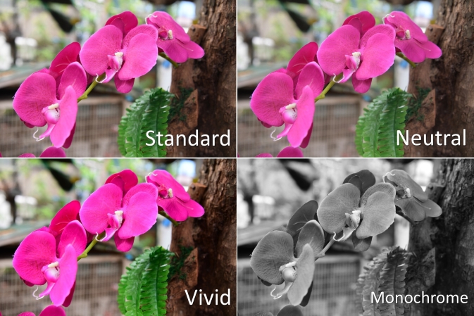 Picture control_02_673 Picture control_02_673