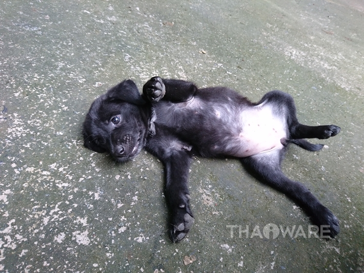 Xperia X สมาร์ทโฟนเสียงดี กล้องแจ่ม จากอารยธรรม Sony Xperia X สมาร์ทโฟนเสียงดี กล้องแจ่ม จากอารยธรรม Sony