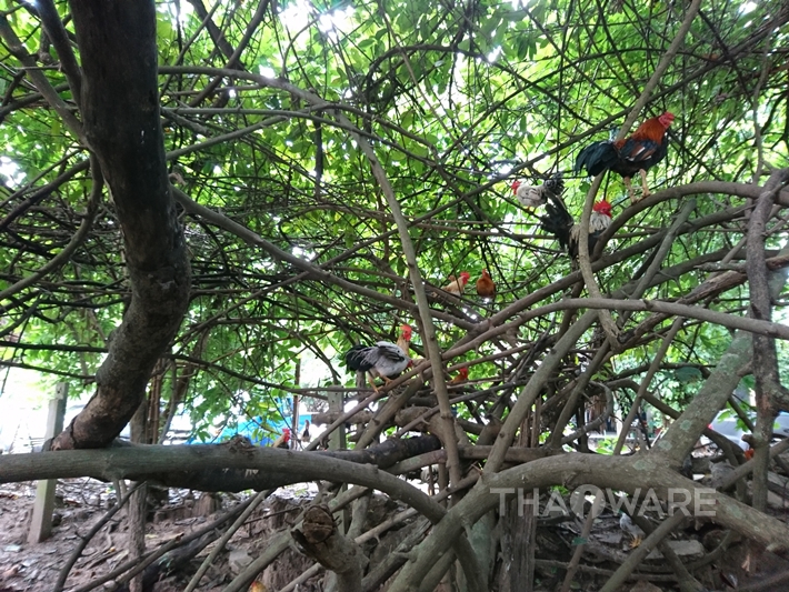 Xperia X สมาร์ทโฟนเสียงดี กล้องแจ่ม จากอารยธรรม Sony Xperia X สมาร์ทโฟนเสียงดี กล้องแจ่ม จากอารยธรรม Sony