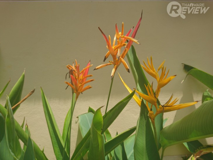 สมาร์ทโฟน Sony Xperia X Performance กล้องเด่น เสียงล้ำ ที่สุดแห่งอารยธรรมจาก Sony