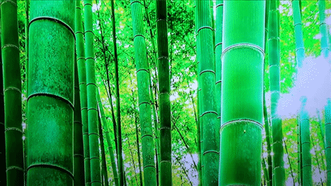 Samsung SUHD TV K9000 ทีวีจอโค้ง Quantum Dot ที่สุดแห่งรายละเอียดภาพคมชัด Samsung SUHD TV K9000 ทีวีจอโค้ง Quantum Dot ที่สุดแห่งรายละเอียดภาพคมชัด