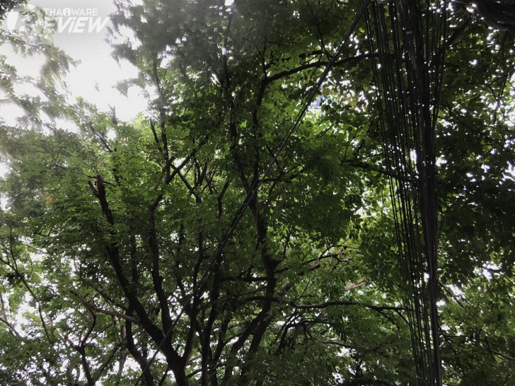 iPhone 7 Plus เครื่องศูนย์ไทย ดีไซน์เหมือนเดิม เพิ่มเติมเทคโนโลยี และการจากไปของช่องหูฟัง