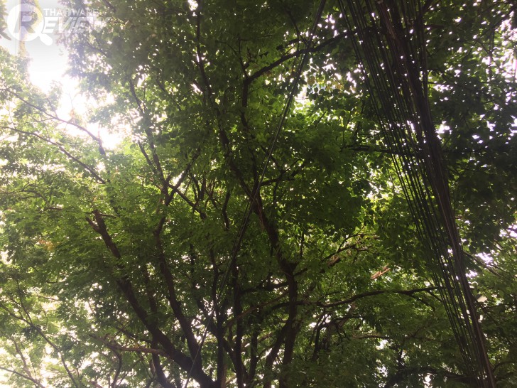 iPhone 7 Plus เครื่องศูนย์ไทย ดีไซน์เหมือนเดิม เพิ่มเติมเทคโนโลยี และการจากไปของช่องหูฟัง