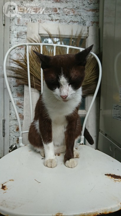 Xperia XZ สมาร์ทโฟนกล้องเทพ โฟกัสเร็วกว่านรก พร้อมระบบกันสั่น 5 แกน รุ่นแรกในโลก