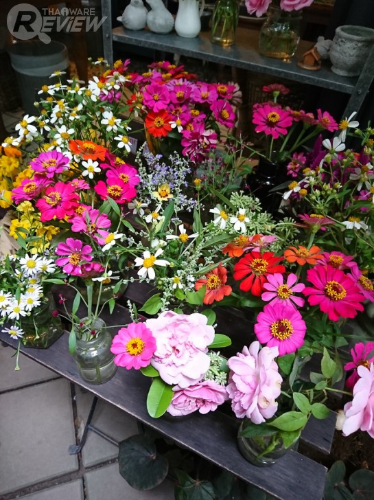 Xperia XZ สมาร์ทโฟนกล้องเทพ โฟกัสเร็วกว่านรก พร้อมระบบกันสั่น 5 แกน รุ่นแรกในโลก