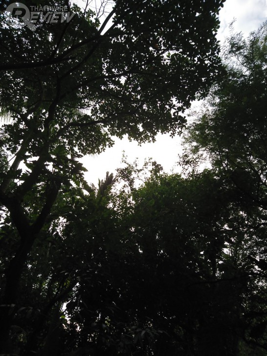 Xperia XZ สมาร์ทโฟนกล้องเทพ โฟกัสเร็วกว่านรก พร้อมระบบกันสั่น 5 แกน รุ่นแรกในโลก