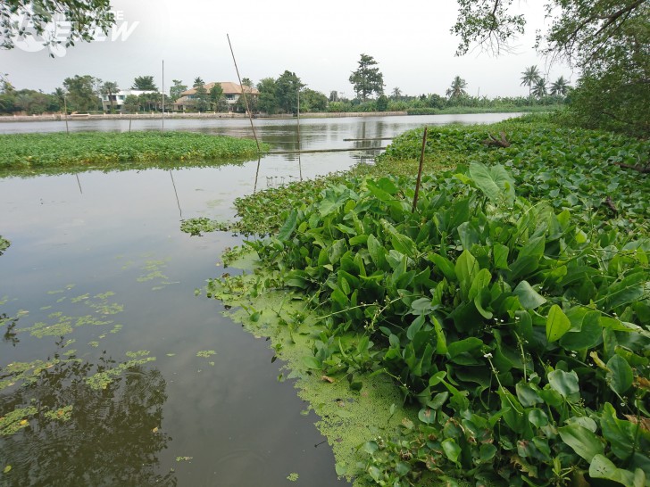 Xperia XZ สมาร์ทโฟนกล้องเทพ โฟกัสเร็วกว่านรก พร้อมระบบกันสั่น 5 แกน รุ่นแรกในโลก