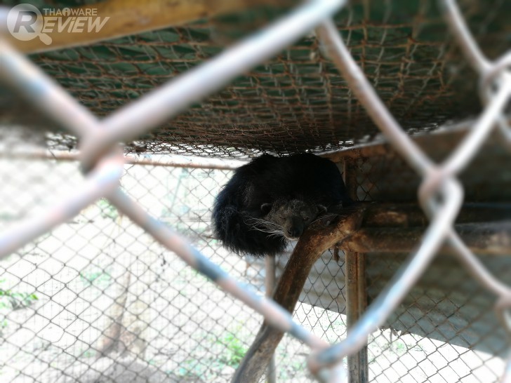 HUAWEI GR5 2017 สมาร์ทโฟนกล้องคู่ อู้หู ราคาไม่ถึงหมื่น