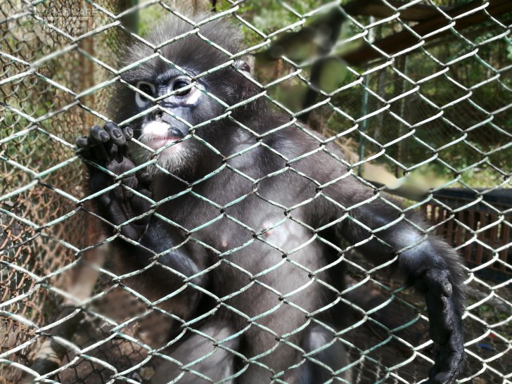 HUAWEI GR5 2017 สมาร์ทโฟนกล้องคู่ อู้หู ราคาไม่ถึงหมื่น