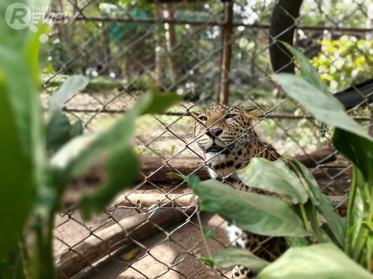 HUAWEI GR5 2017 สมาร์ทโฟนกล้องคู่ อู้หู ราคาไม่ถึงหมื่น