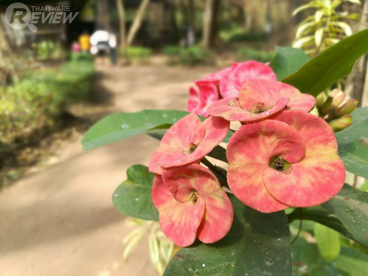 HUAWEI GR5 2017 สมาร์ทโฟนกล้องคู่ อู้หู ราคาไม่ถึงหมื่น