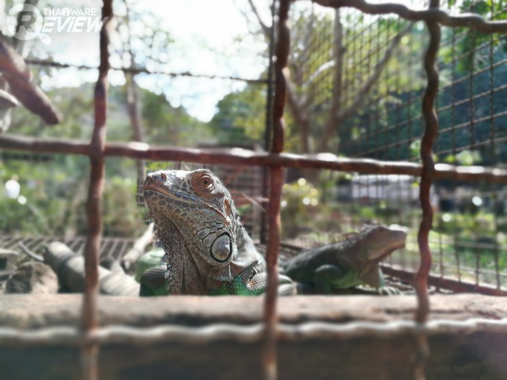 HUAWEI GR5 2017 สมาร์ทโฟนกล้องคู่ อู้หู ราคาไม่ถึงหมื่น