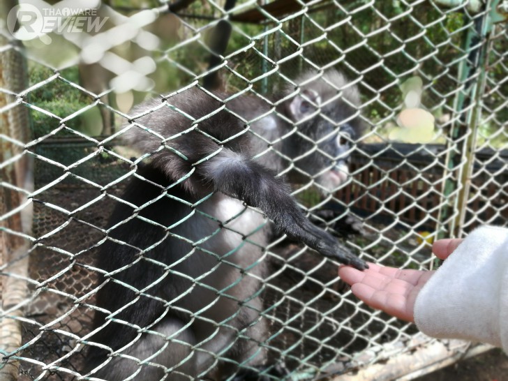 HUAWEI GR5 2017 สมาร์ทโฟนกล้องคู่ อู้หู ราคาไม่ถึงหมื่น