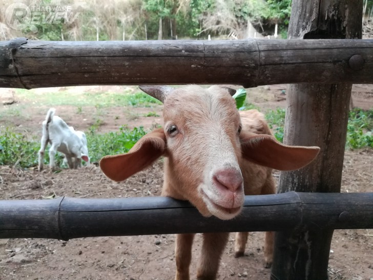 HUAWEI GR5 2017 สมาร์ทโฟนกล้องคู่ อู้หู ราคาไม่ถึงหมื่น