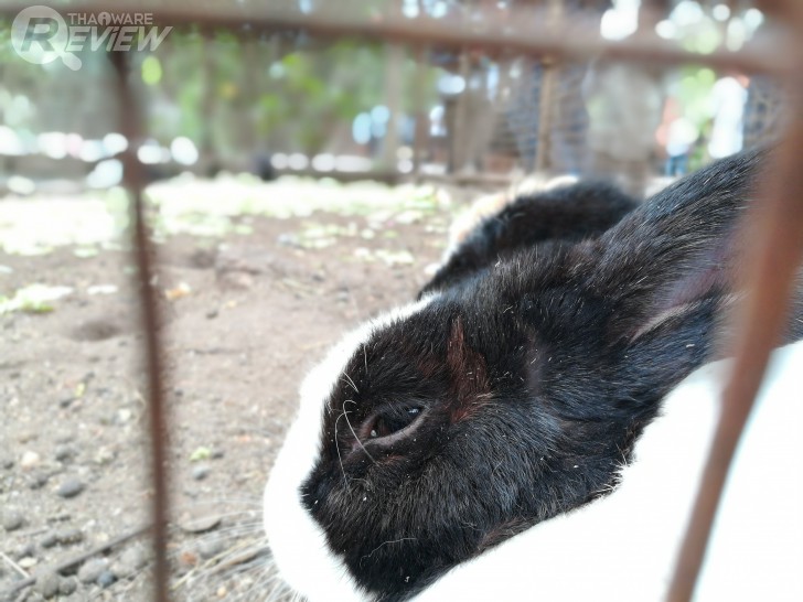 HUAWEI GR5 2017 สมาร์ทโฟนกล้องคู่ อู้หู ราคาไม่ถึงหมื่น