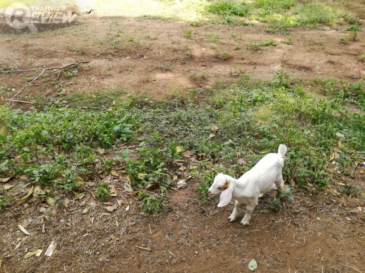 HUAWEI GR5 2017 สมาร์ทโฟนกล้องคู่ อู้หู ราคาไม่ถึงหมื่น