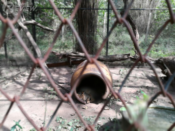 HUAWEI GR5 2017 สมาร์ทโฟนกล้องคู่ อู้หู ราคาไม่ถึงหมื่น