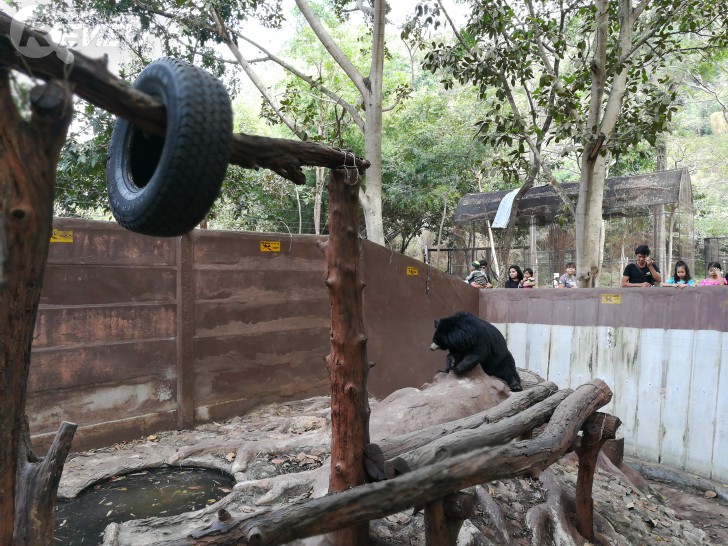 HUAWEI GR5 2017 สมาร์ทโฟนกล้องคู่ อู้หู ราคาไม่ถึงหมื่น