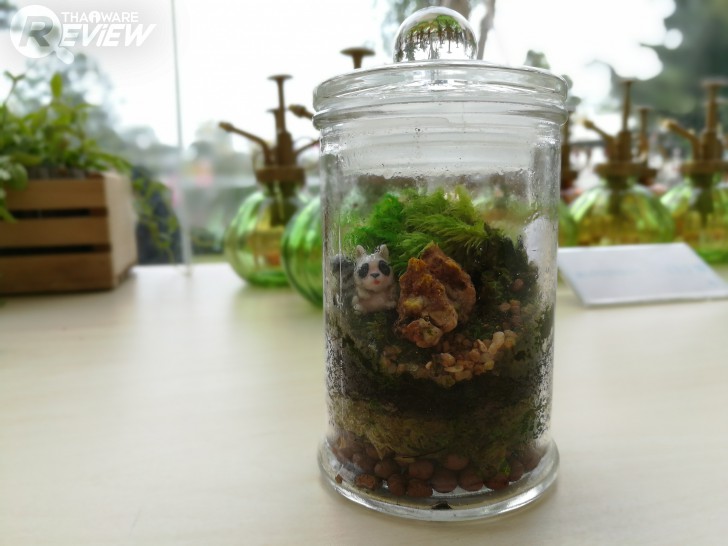 HUAWEI GR5 2017 สมาร์ทโฟนกล้องคู่ อู้หู ราคาไม่ถึงหมื่น