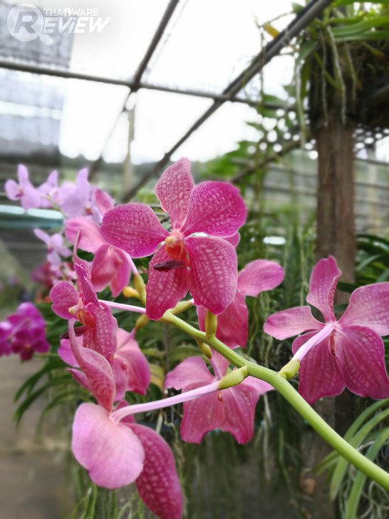 HUAWEI GR5 2017 สมาร์ทโฟนกล้องคู่ อู้หู ราคาไม่ถึงหมื่น